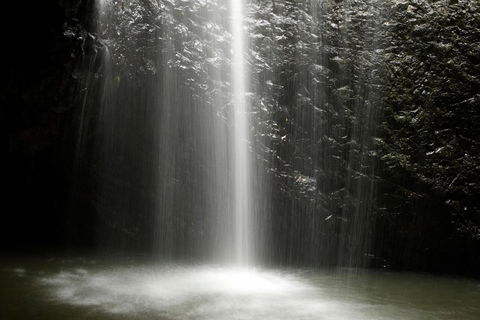 Natural Bridge Glow Worm Night Tour From Gold Coast - Accommodation Bookings 2