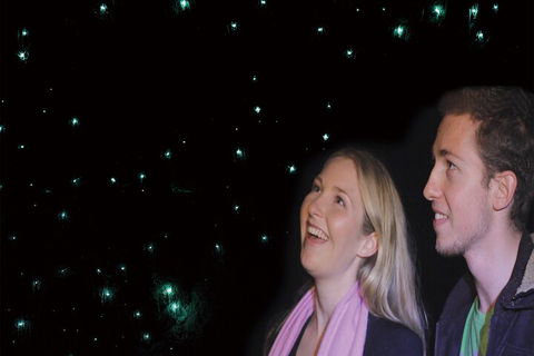 Natural Bridge Glow Worm Night Tour From Gold Coast - Accommodation Bookings 3