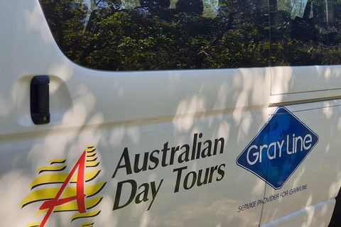 Natural Bridge Glow Worm Night Tour From Gold Coast - Accommodation Bookings 5
