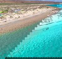 Ningaloo in a Day - Full Day Hike and Snorkel Tour with Lunch - Accommodation Bookings