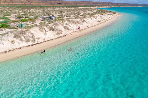 Ningaloo In A Day - Full Day Hike And Snorkel Tour With Lunch - Accommodation Bookings 0