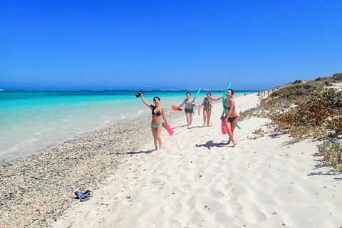 Ningaloo In A Day - Full Day Hike And Snorkel Tour With Lunch - Accommodation Bookings 1