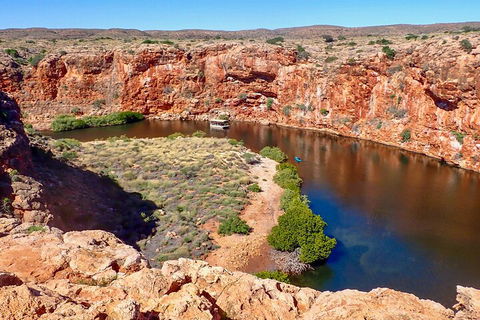 Ningaloo In A Day - Full Day Hike And Snorkel Tour With Lunch - Accommodation Bookings 2