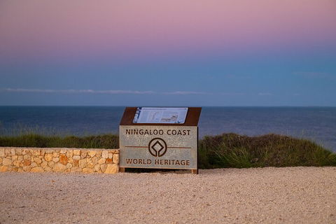 Ningaloo In A Day - Full Day Hike And Snorkel Tour With Lunch - Accommodation Bookings 5