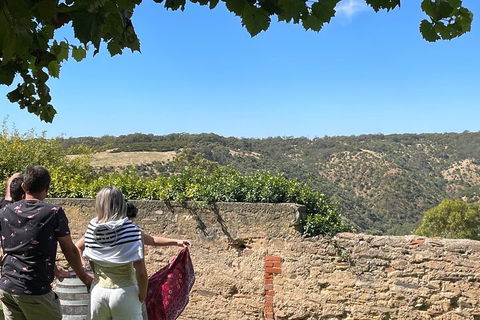 Private Mclaren Vale Wine Tour - Accommodation Bookings 2