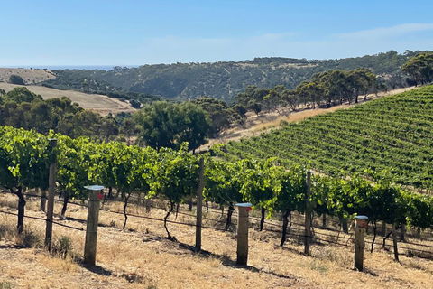 Private Mclaren Vale Wine Tour - Accommodation Bookings 3