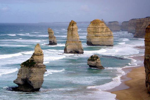 LGBT+ Friendly 2 Day Private Tour Great Ocean Road + Phillip Island - Accommodation Bookings 0