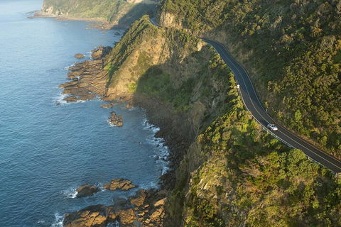 LGBT+ Friendly 2 Day Private Tour Great Ocean Road + Phillip Island - Accommodation Bookings 4
