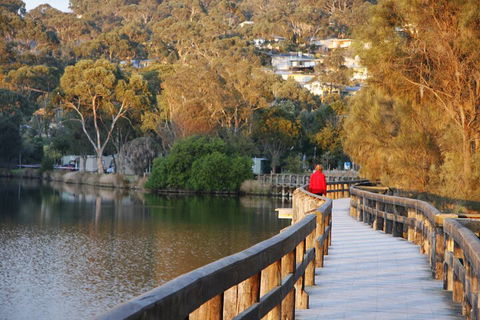 LGBT+ Friendly 3 Day Private Tour Great Ocean Road & Phillip Island - Accommodation Bookings 0