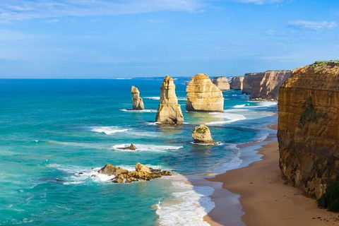 LGBT+ Friendly 3 Day Private Tour Great Ocean Road & Phillip Island - Accommodation Bookings 4