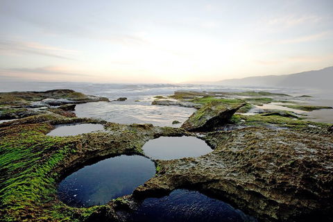 LGBT+ Friendly 3 Day Private Tour Great Ocean Road & Phillip Island - Accommodation Bookings 5