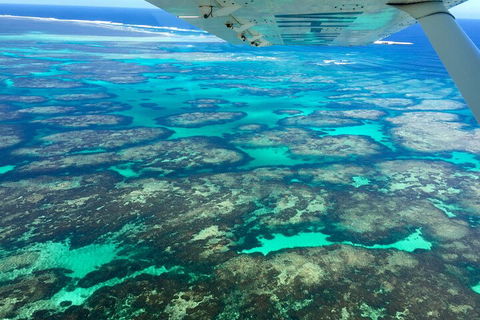 Shipwreck Special Full Day Tour Of The Abrolhos Islands - Accommodation Bookings 1