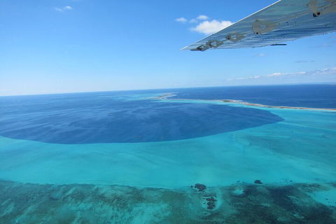 Shipwreck Special Full Day Tour Of The Abrolhos Islands - Accommodation Bookings 2