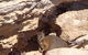 Shipwreck Special Full Day Tour Of The Abrolhos Islands - thumb 4