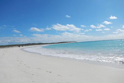 Shipwreck Special Nature Tour/Half Day Tour - Accommodation Bookings 0