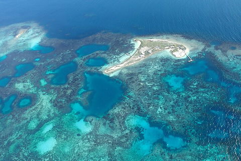 Shipwreck Special Nature Tour/Half Day Tour - Accommodation Bookings 5