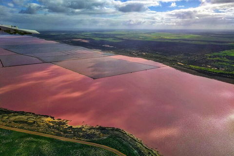 Kalbarri, Pink Lake And Abrolhos Islands Nature Tour - Accommodation Bookings 1