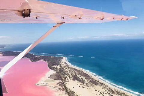 Kalbarri, Pink Lake And Abrolhos Islands Nature Tour - Accommodation Bookings 4