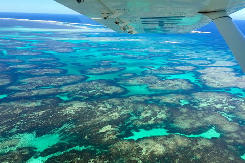 Kalbarri, Pink Lake And Abrolhos Islands Nature Tour - Accommodation Bookings 5