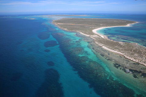 Pink Lake + Abrolhos Islands Scenic Flight - Accommodation Bookings 0