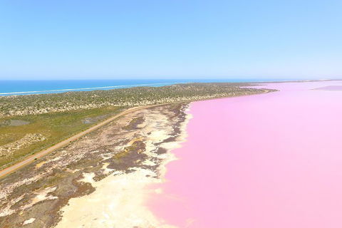 Pink Lake + Abrolhos Islands Scenic Flight - Accommodation Bookings 4
