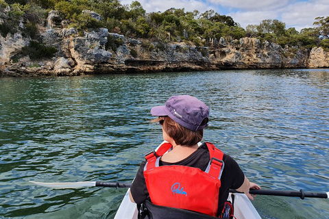 Cliffs And Caves Kayak Tour In Swan River - Accommodation Bookings 0