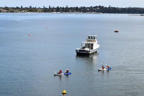 Cliffs And Caves Kayak Tour In Swan River - Accommodation Bookings 2