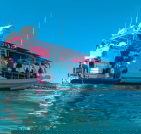 Best of Moreton Bay Cruise - Accommodation Bookings