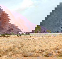 Uluru Sunrise and Guided Base Walk - Accommodation Bookings
