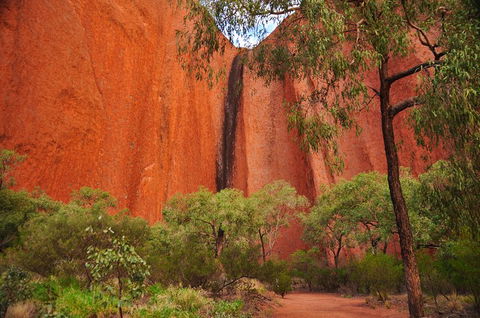 Uluru Sunrise And Guided Base Walk - Accommodation Bookings 3