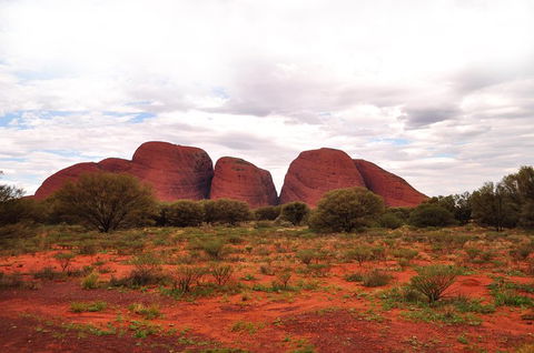Ayers Rock Combo: Uluru Base And Sunset Plus Uluru Sunrise And Kata Tjuta With An Optional BBQ Dinner Or Kings Canyon Day Trip - Accommodation Bookings 1