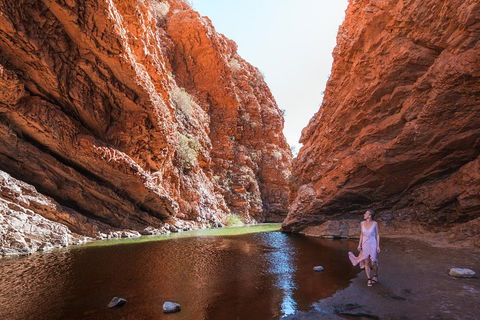 West MacDonnell Ranges- Half Day Trip From Alice Springs - Accommodation Bookings 1