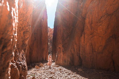 West MacDonnell Ranges- Half Day Trip From Alice Springs - Accommodation Bookings 4