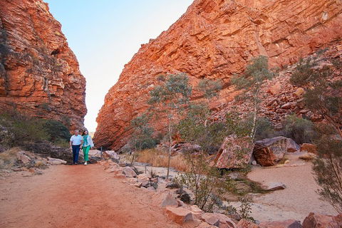 Best Of Alice Springs Full Day Tour - Accommodation Bookings 1
