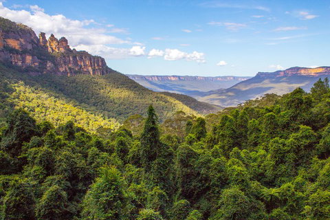 Blue Mountains Nature And Wildlife Day Tour From Sydney - Accommodation Bookings 1