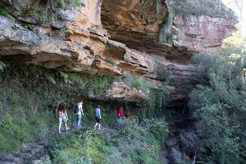 Blue Mountains Nature And Wildlife Day Tour From Sydney - Accommodation Bookings 2