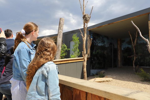 Blue Mountains Nature And Wildlife Day Tour From Sydney - Accommodation Bookings 3