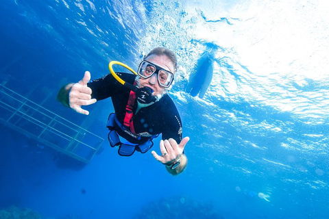 Great Barrier Reef Day Cruise From Cairns Including Snorkeling And Marine Biologist Presentation - Accommodation Bookings 3