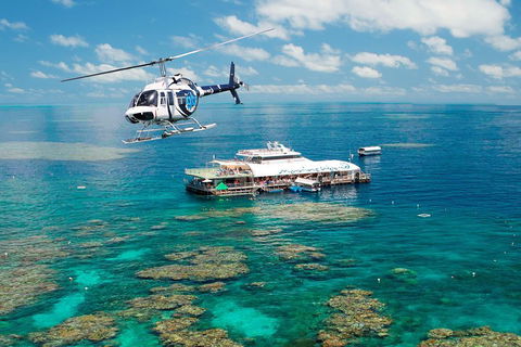 Great Barrier Reef Day Cruise From Cairns Including Snorkeling And Marine Biologist Presentation - Accommodation Bookings 5