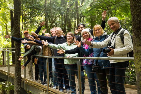 All Inclusive Blue Mountains Small-Group Day Trip From Sydney - Accommodation Bookings 5