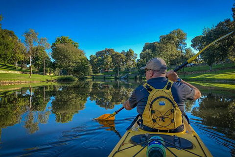 Adelaide City Kayak Tour - Accommodation Bookings 5