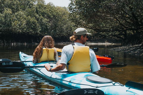 Kayak Tour In Adelaide Dolphin Sanctuary - Accommodation Bookings 2
