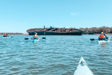 Kayak Tour In Adelaide Dolphin Sanctuary - Accommodation Bookings 3