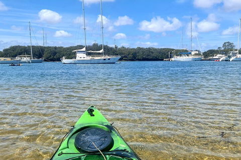 Kayak Tour In Adelaide Dolphin Sanctuary - Accommodation Bookings 4
