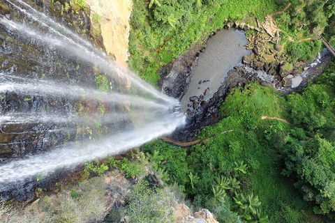 Natural Bridge & Springbrook Waterfalls Tour + Hot Air Balloon With Breakfast - Accommodation Bookings 1