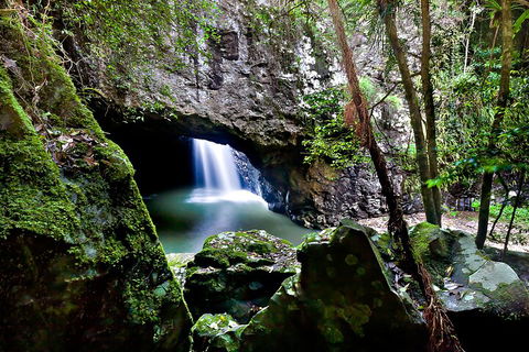 Natural Bridge & Springbrook Waterfalls Tour + Hot Air Balloon With Breakfast - Accommodation Bookings 4