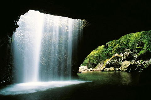 Natural Bridge & Springbrook Waterfalls Tour - Accommodation Bookings 0