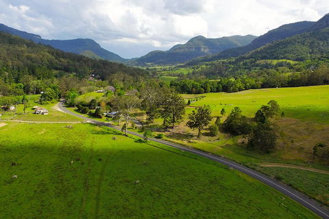 Natural Bridge & Springbrook Waterfalls Tour - Accommodation Bookings 2