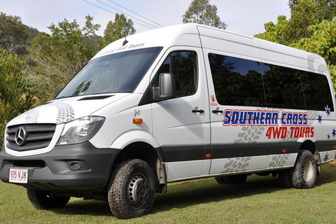 Natural Bridge & Springbrook Waterfalls Tour - Accommodation Bookings 3