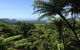 Daintree And Cape Tribulation Full Day Guided Tour - thumb 2